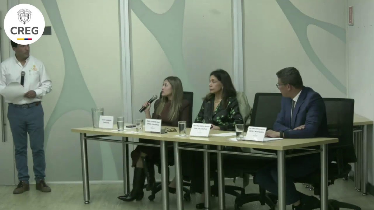 14 OCTUBRE Divulgación y presentación Informe estudio Prestador de Última Instancia (PUI)