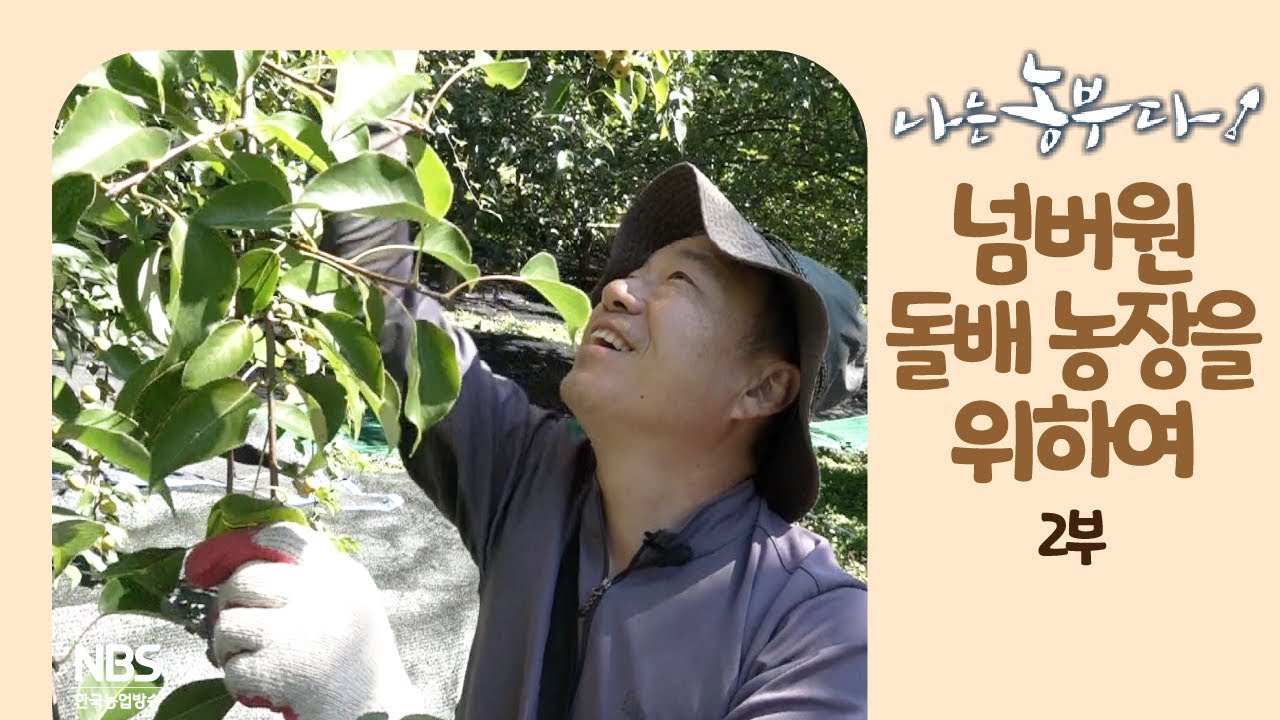 [나는농부다 218회 2부] 넘버원 돌배 농장을 위하여