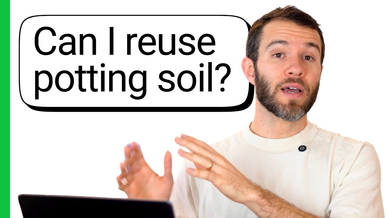Pepper Geek Answers Beginner Gardening Questions