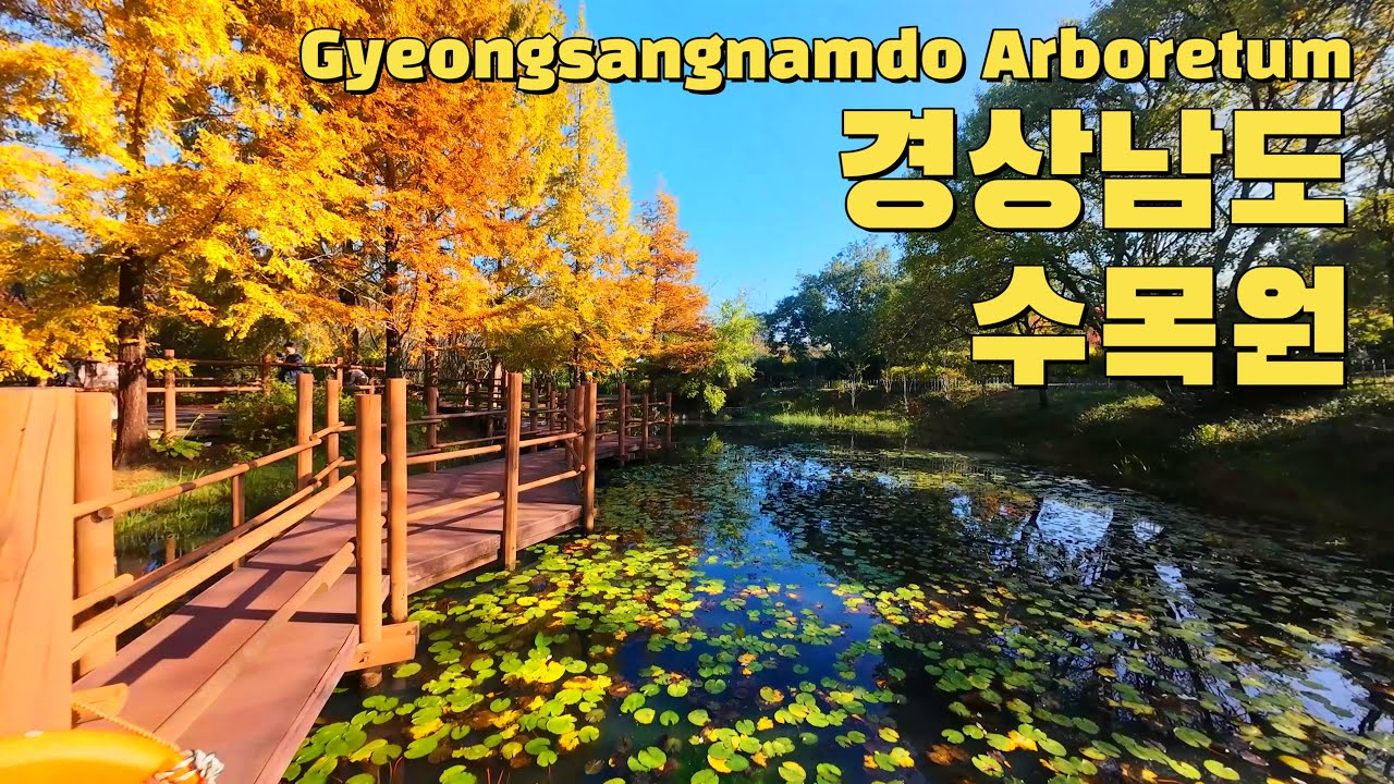 경상남도수목원 드론영상 Gyeongsangnamdo Arboretum drone video