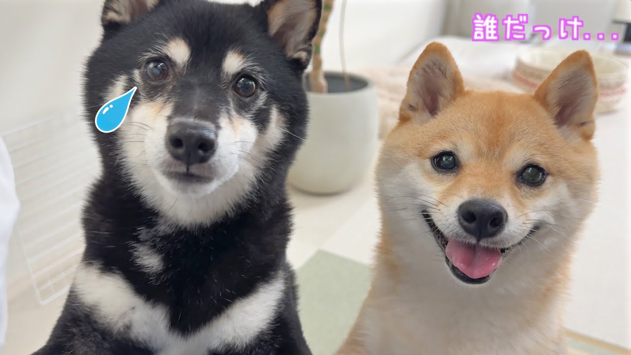1週間留守にした後の感動の再会がこちら....