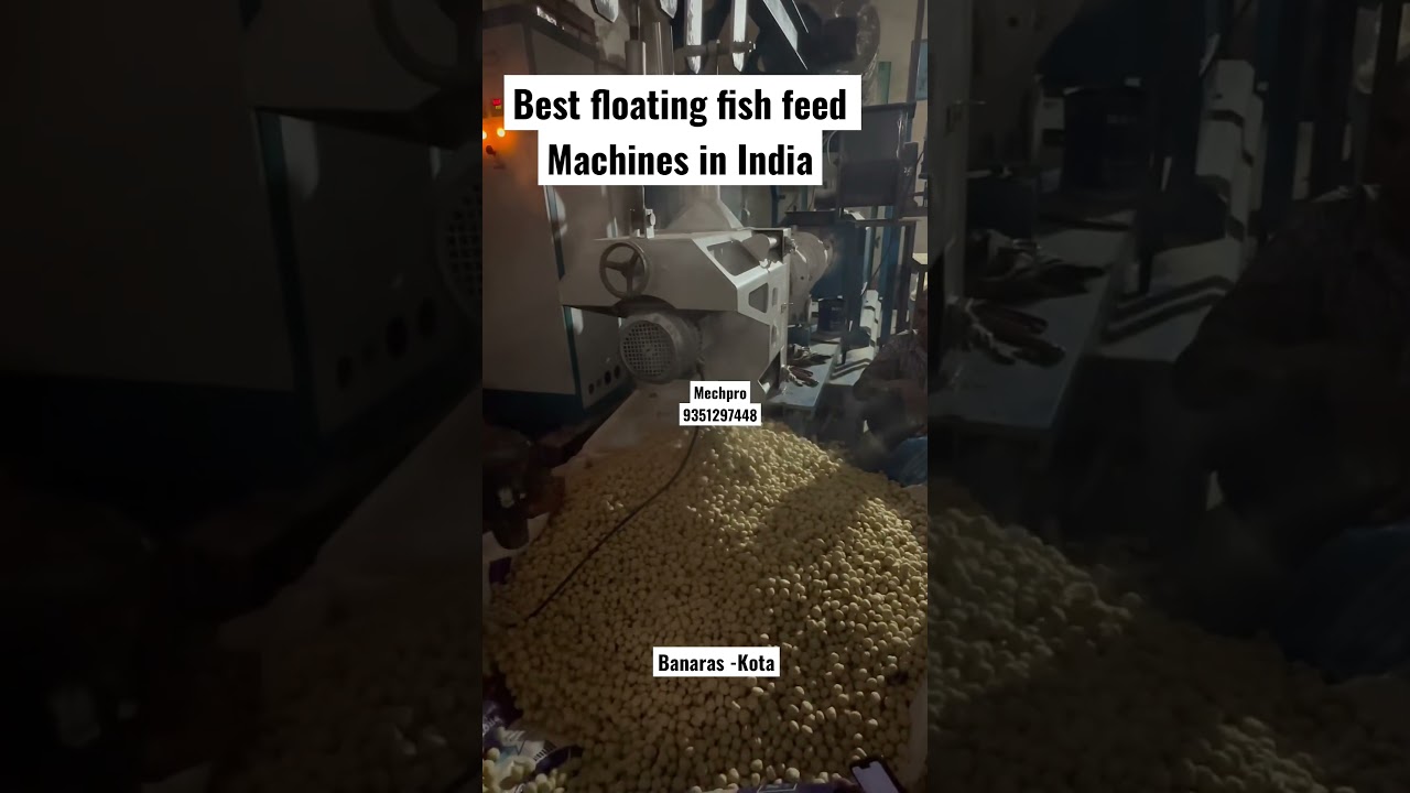 Dog Feed Machine | Floating Fish Feed Machine | Pet Food Plant