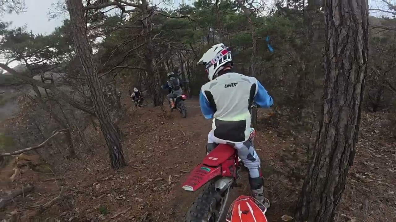 산림 영동 국제급 챔피언과 한바리