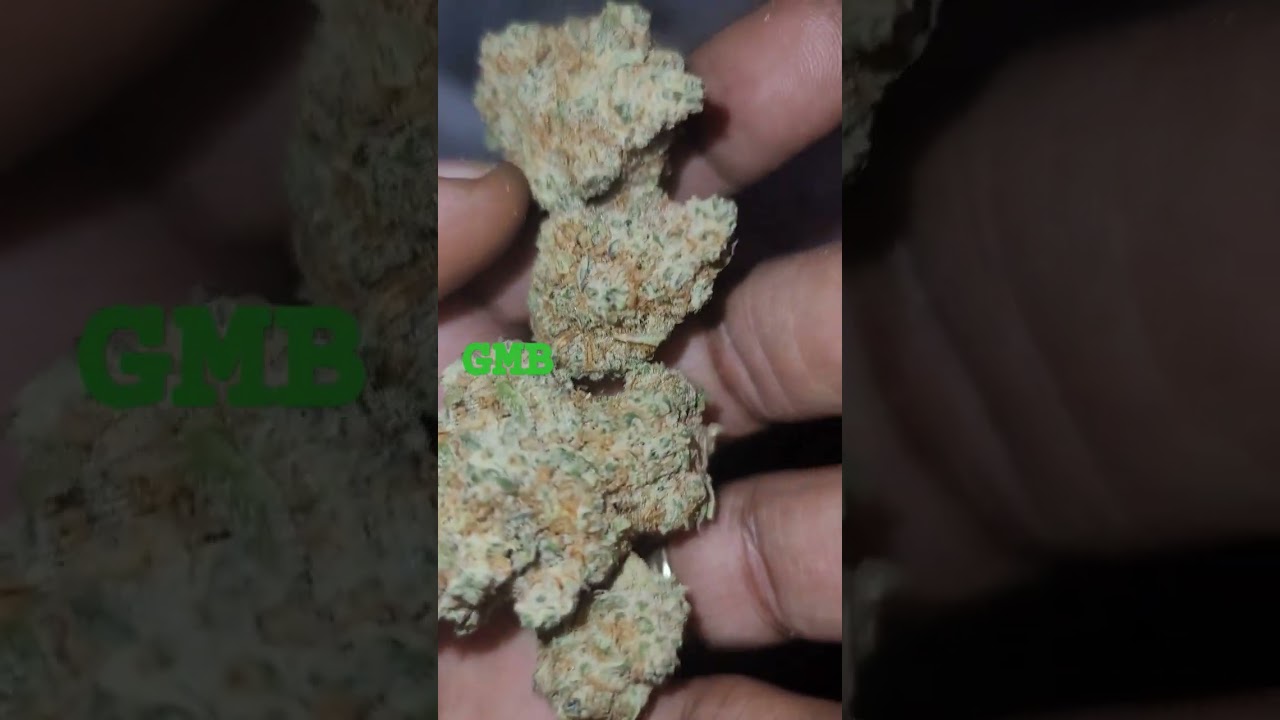 #420blazeit #420 #420daily #420live