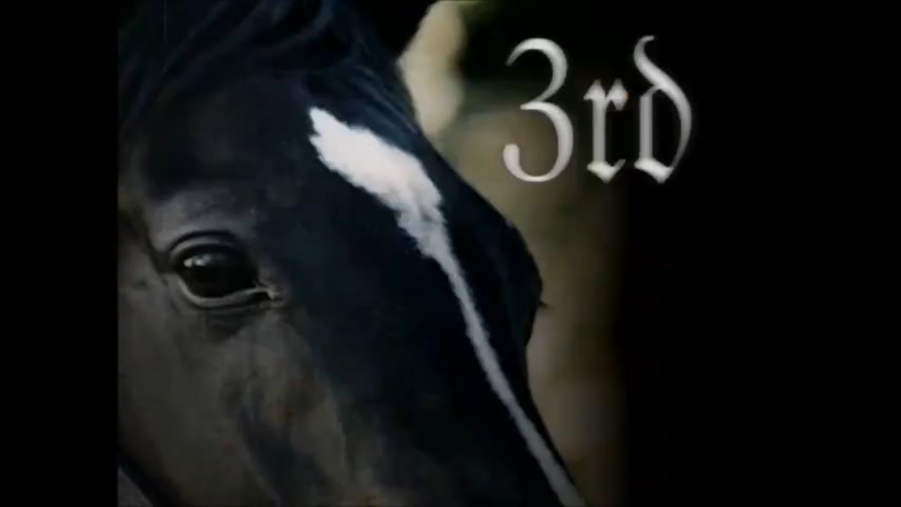 Sunday Silence's 3rd Crop