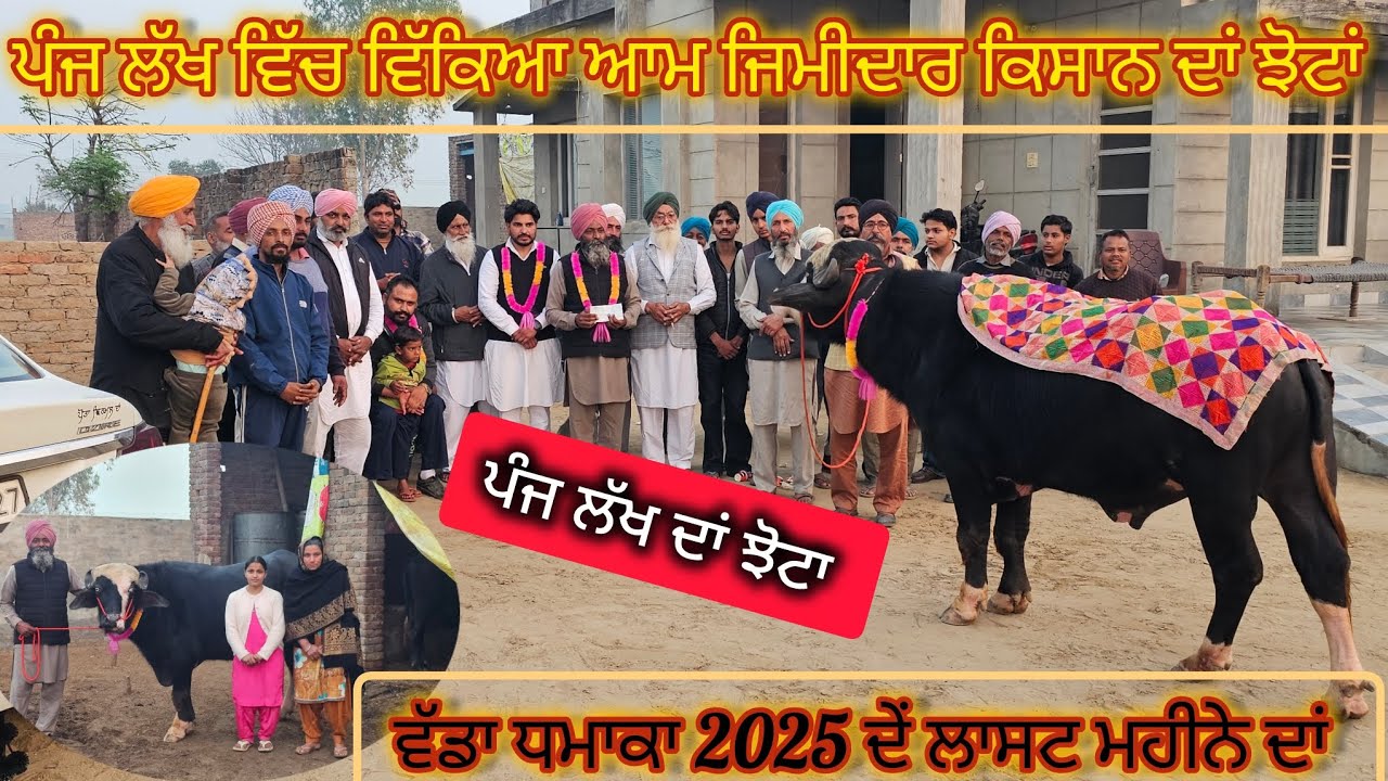 ਆਮ ਜਿਮੀਦਾਰ ਕਿਸਾਨ ਕੋਲੋ ਵਿੱਕਿਆ 👉ਪੰਜ ਲੱਖ ਦਾ ਝੋਟਾ ਨੀਲੀ ਰਾਵੀ ਸਾਰਾਂ ਪਿੰਡ ਹੋਇਆ ਇਕੱਠਾ ਮਿਤੀ 25-12-25