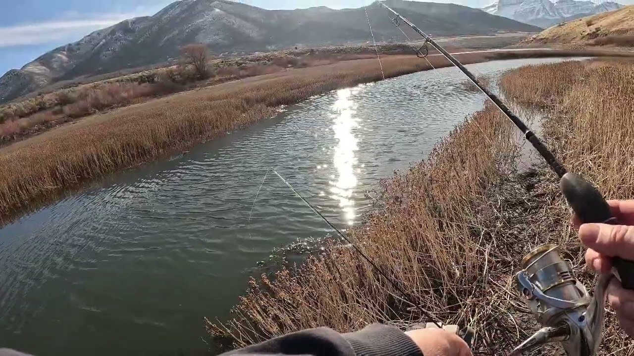 "Deer Creek Reservoir redemption day" 