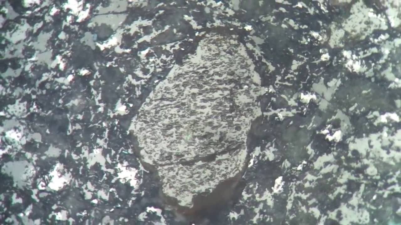 Olivina 10 - Luz Refletida - Nicóis Descruzados