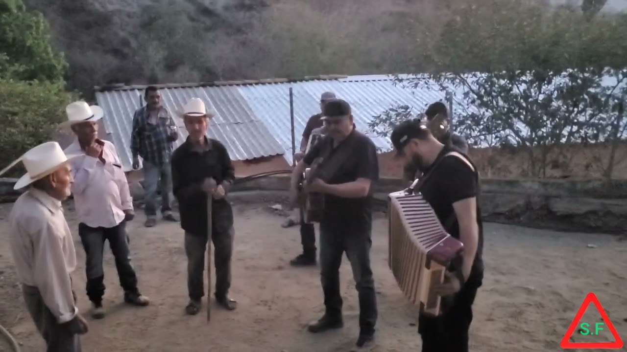 una palomita.. los ayones del sapatero .y pelon del grupo los amistosos de cosala