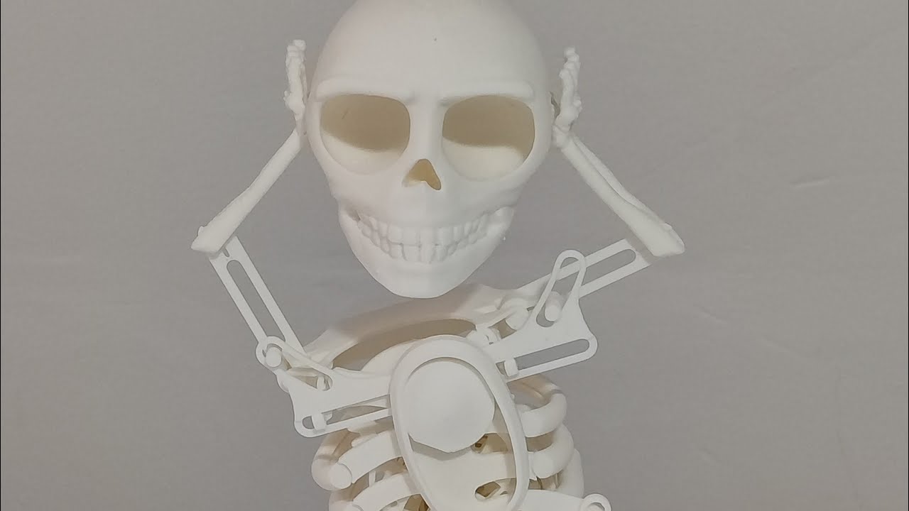 How to assembly the dancing skeleton #3dprinting #dancingskeleton #assembly