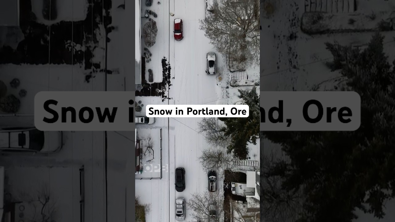 ❄️ Portlanders out in the snow Thursday and Friday 🧊