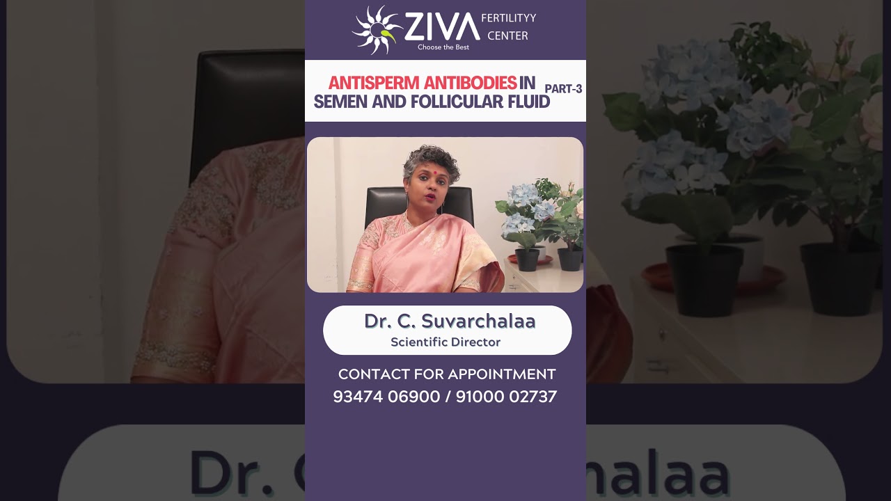 Antisperm Antibodies In Semen Part 3 || Male Infertility || Dr C Suvarchalaa || ZIVA Fertilityy