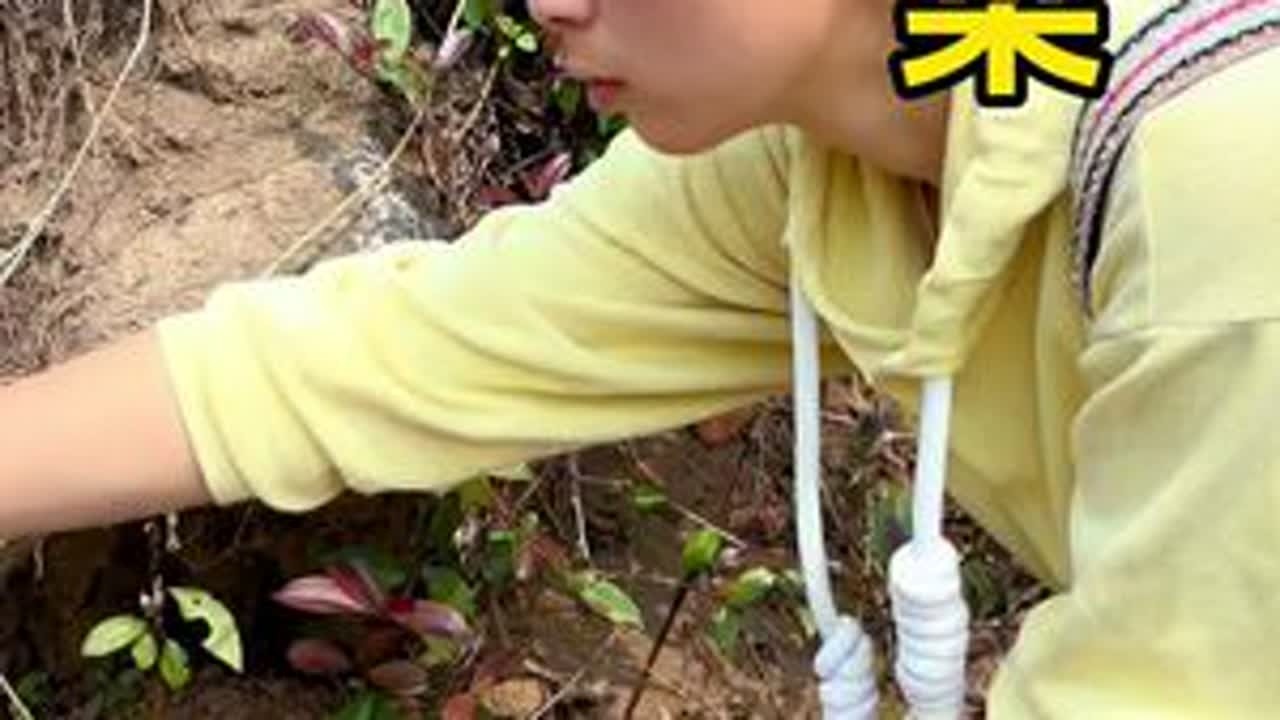 今天是春分了，你们都去打蕨菜了没，没有的快来，我带你们克#新农人计划2025 #来一口乡间春分的味道 #乡野春日地图 #尝一口春天的味道  #大山里的味道