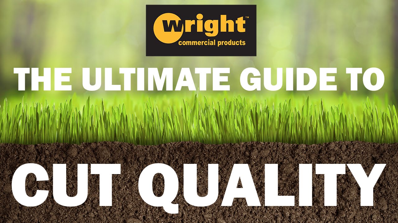 The Ultimate Guide to Cut Quality