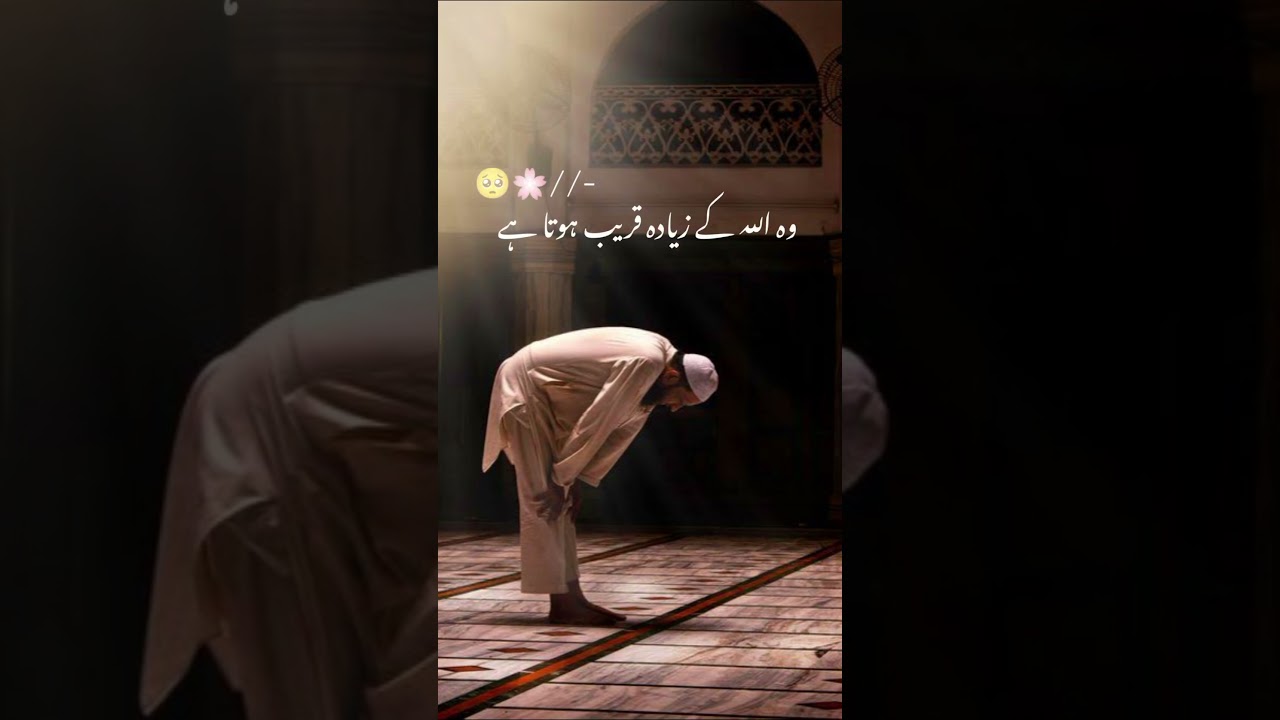 Indeed | Islamic Spiritual Souls Teacher