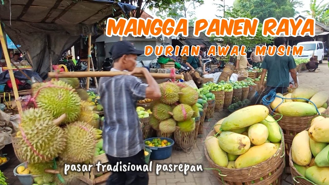 PASAR TRADISIONAL PASREPAN PASURUAN SEKARANG LAGI MUSIM BUAH MANGGA DAN DURIAN 