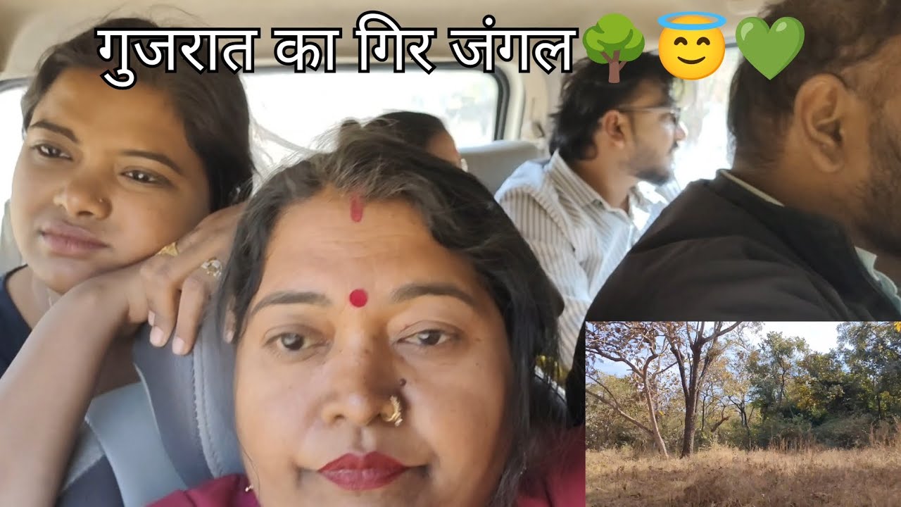 गुजरात का गिर जंगल 😇🌳🥰#shortvideo #youtube #gujarat #girgujrat #forest #viralvideo #tour #girjungle 