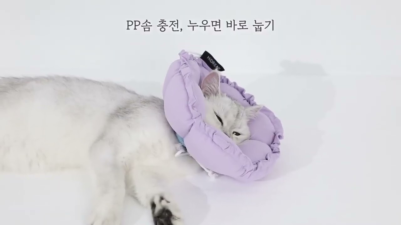 모츄츄 2WAY 꽃베개 넥카라 가볍고 편안한 반려동물 넥카라 - 66g의 초경량, 펼치면 베개 접으면 콘!