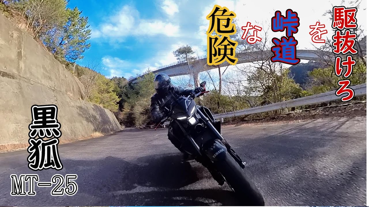 【MT-25】黒狐！危険な峠道に潜入!?