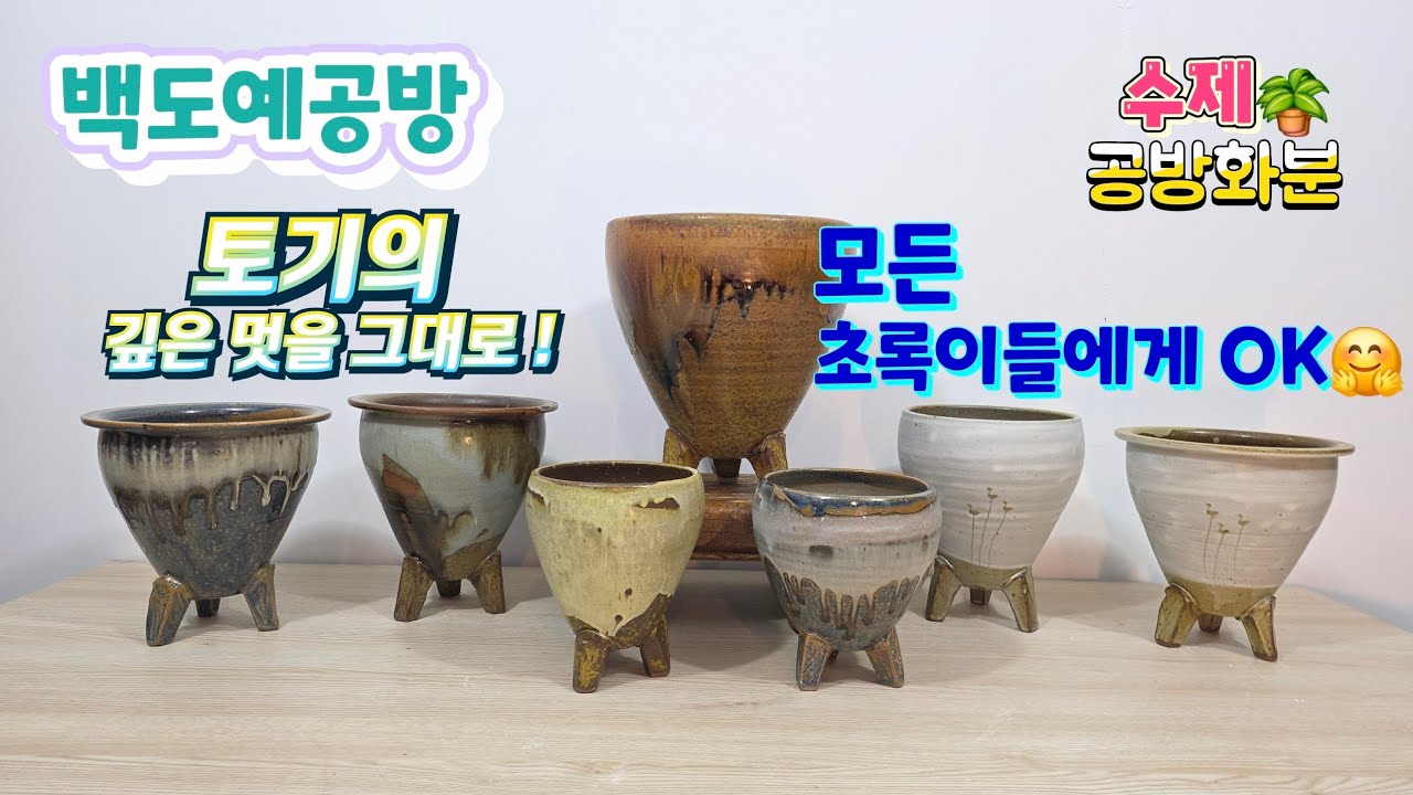 20260108(251회영상)어떤 초록이와도 어울려요🤗공간에 깊이 있는 고급스러움을 더합니다🪴#수제화분 #공방화분#다육화분#야생화화분#아프리카식물#고급화분#롱분#분갈이화분#분청화분