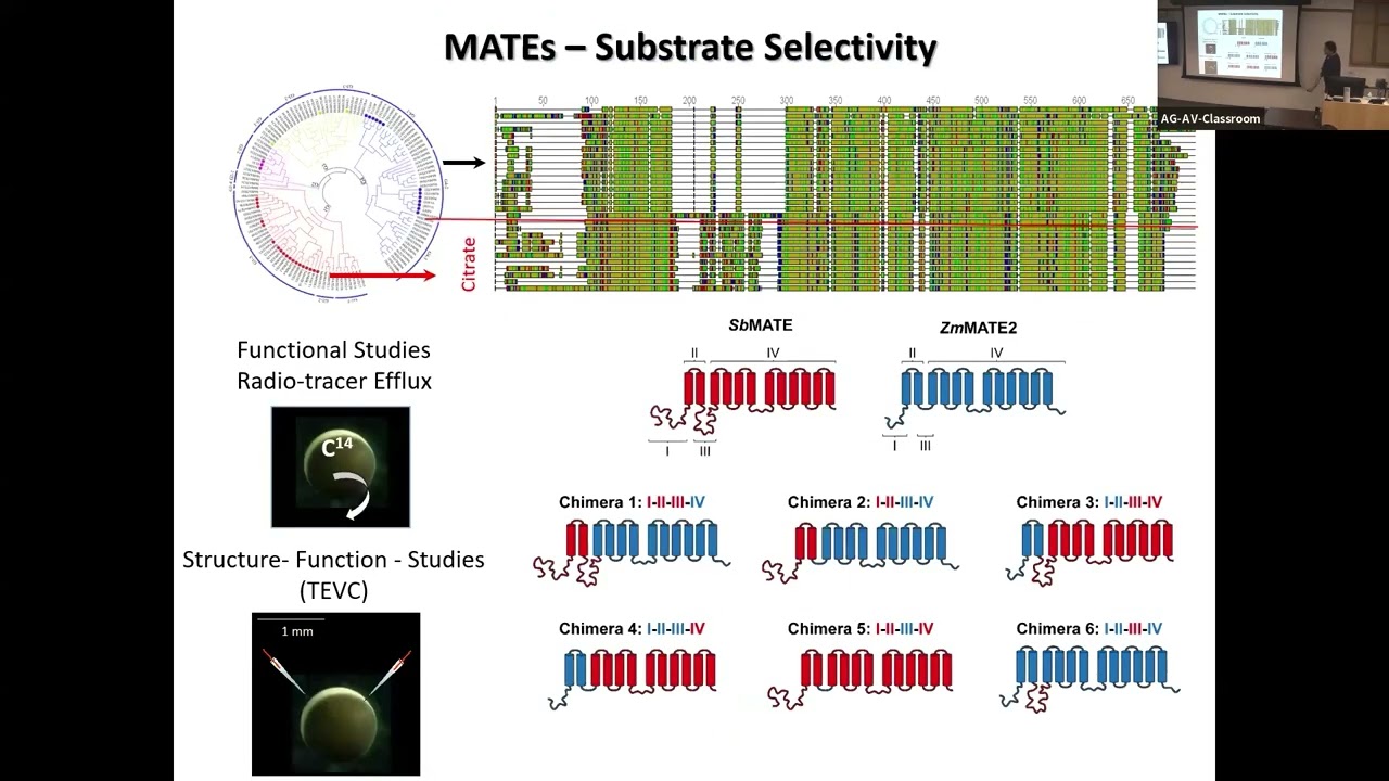 Miguel Pineros: 30 Years of Insights into Membrane Transport Proteins Underpinning Key Ag Traits