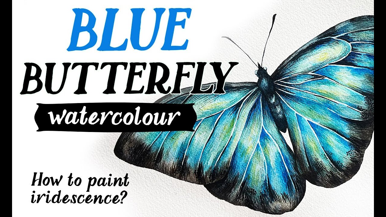 Blue Butterfly watercolour painting. How to paint iridescence?