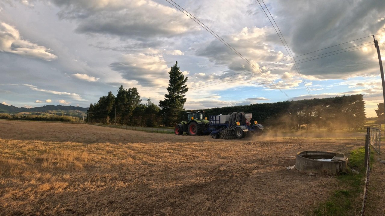 Bulls,  Gravel and Tractors  - Autumn Sown Winter Feed Done