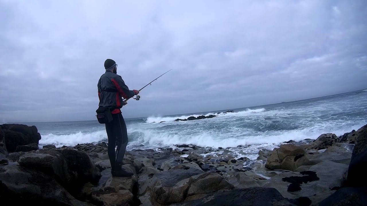Sea Bass Spinning | Portugal | C&R