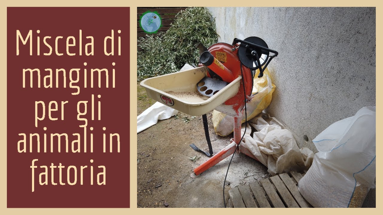 Miscela di mangimi per gli animali in fattoria