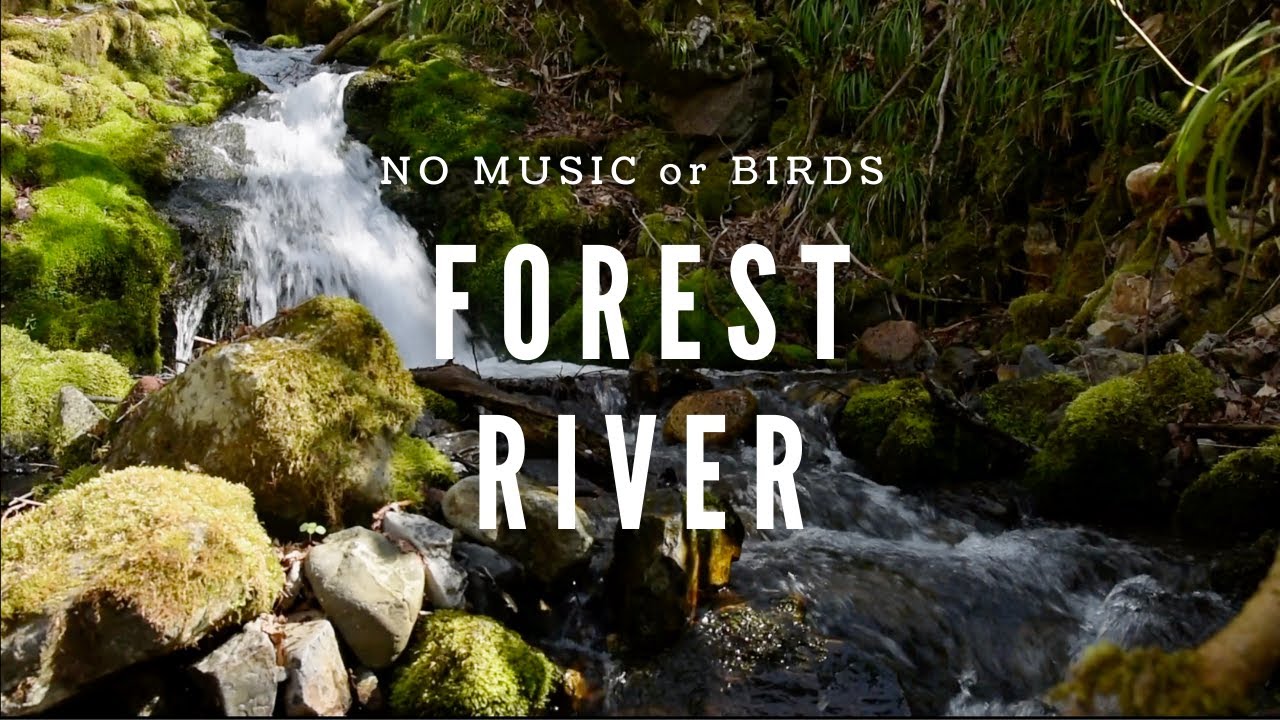 Relaxing River Sounds・No birds・No Music・1 hour of pure nature