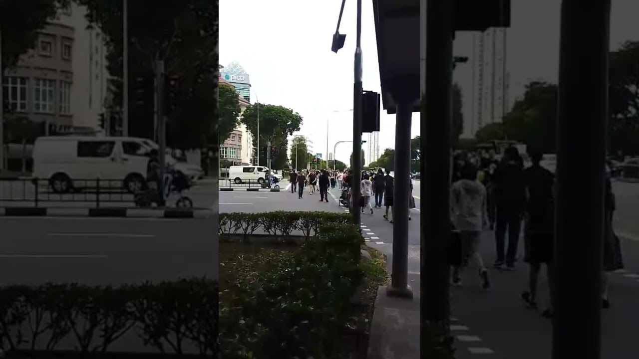 Singapore Street Walk 🇸🇬 | Clean City Road Crossing | City Life Shorts 