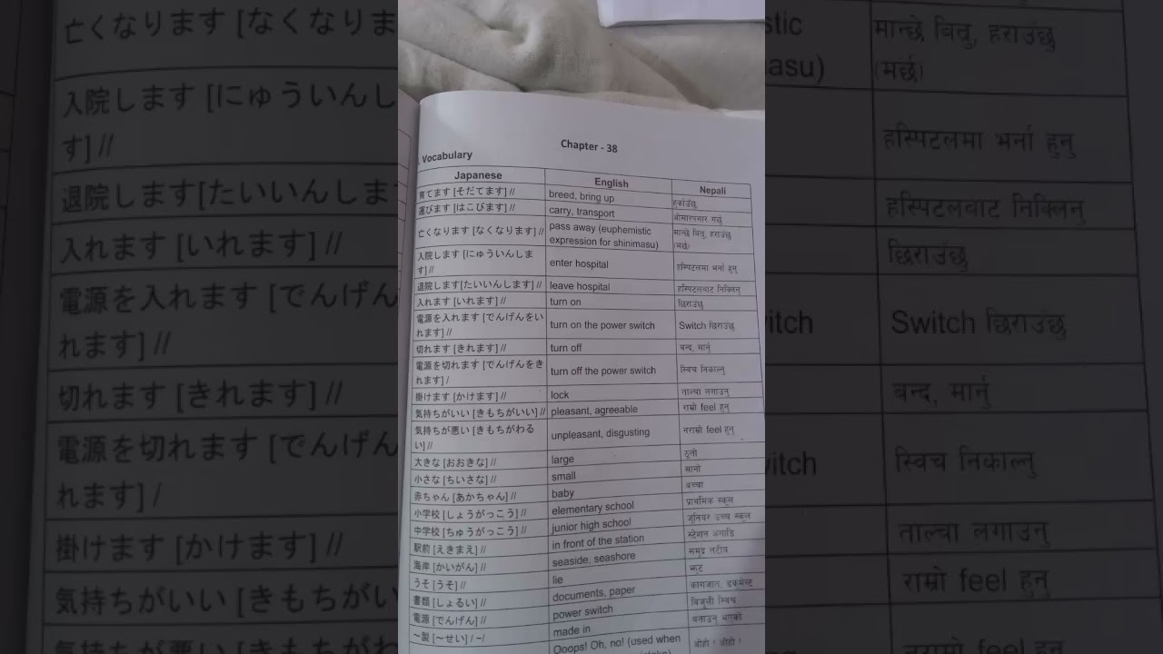 lesson 38 vocabulary 