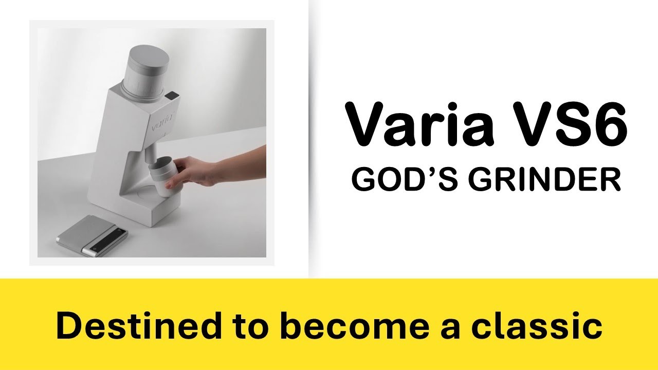 Review of Varia VS6 after 2 months of daily use