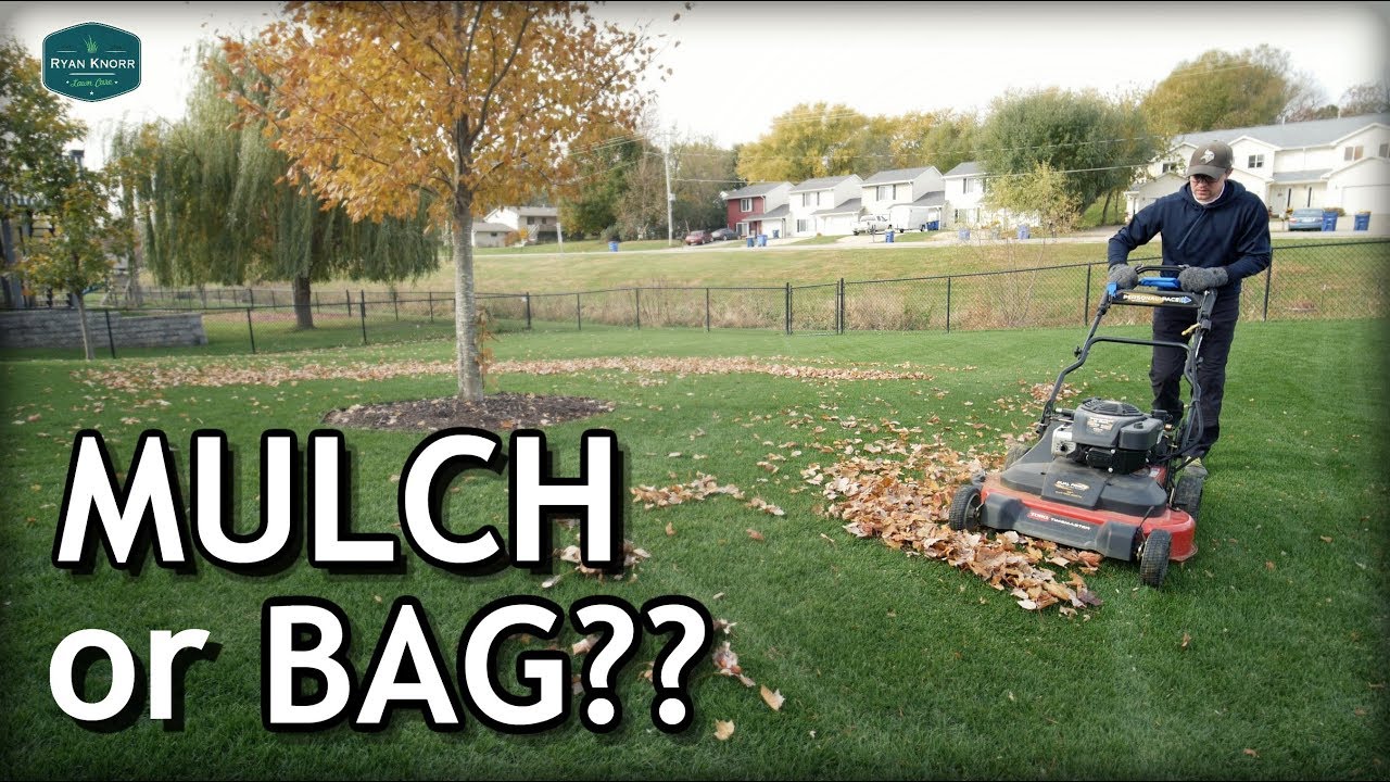 What To Do With Leaves On Your Lawn in Fall? + GIE, Lawn Tips MN Trip, Mowvember
