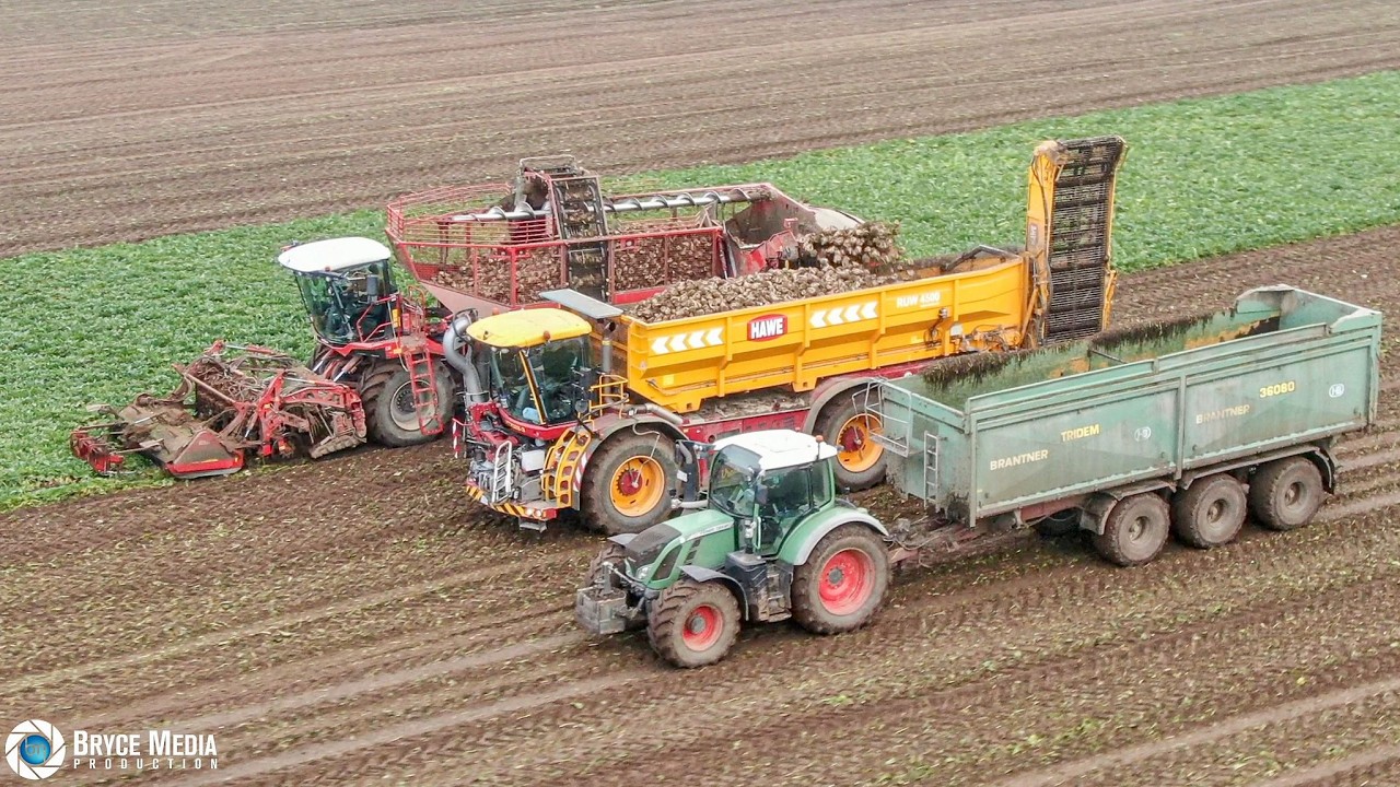 Großeinsatz Rübenernte 2024 + Grimme Rexor & Vredo VT7028-3 Selbstfahrer + HAWE Rübenüberlade-Aufbau
