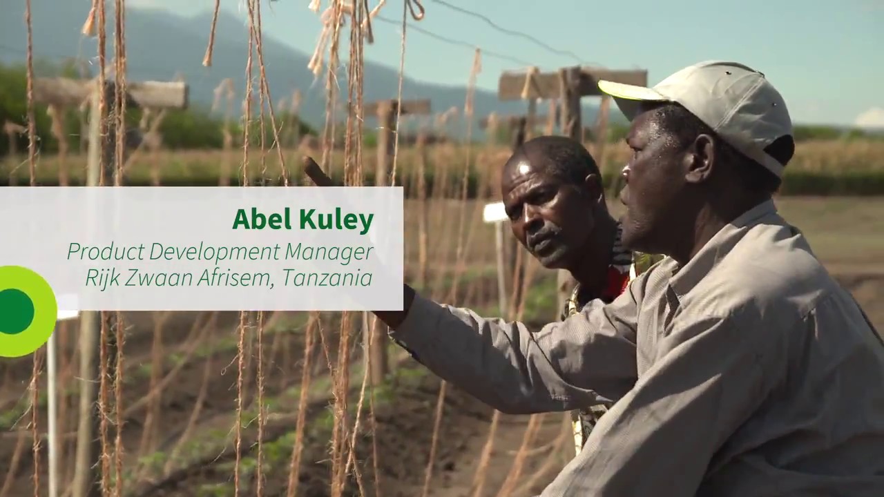 Fullfilling Africa's potential for vegetable production