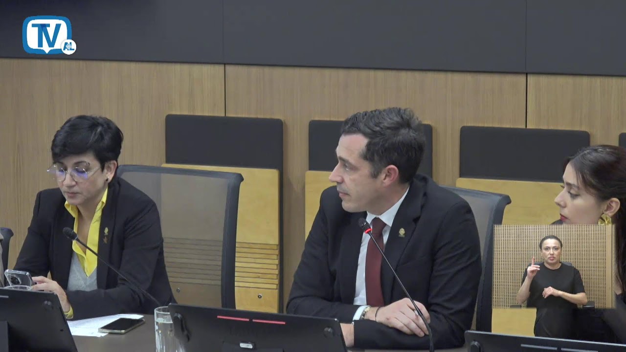 Comisión Permanente Especial de Control de Ingreso y Gasto Público, 22 enero 2026