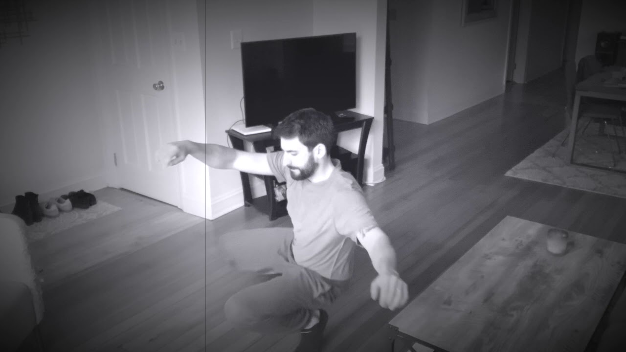 Physical Education at Home - Animal Movement Routine