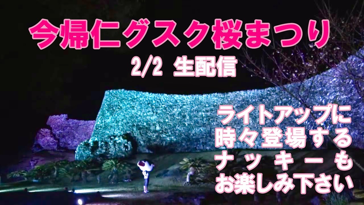 【2/2】第15回今帰仁グスク 桜まつり 夜桜ライトアップ オンラインイベント
