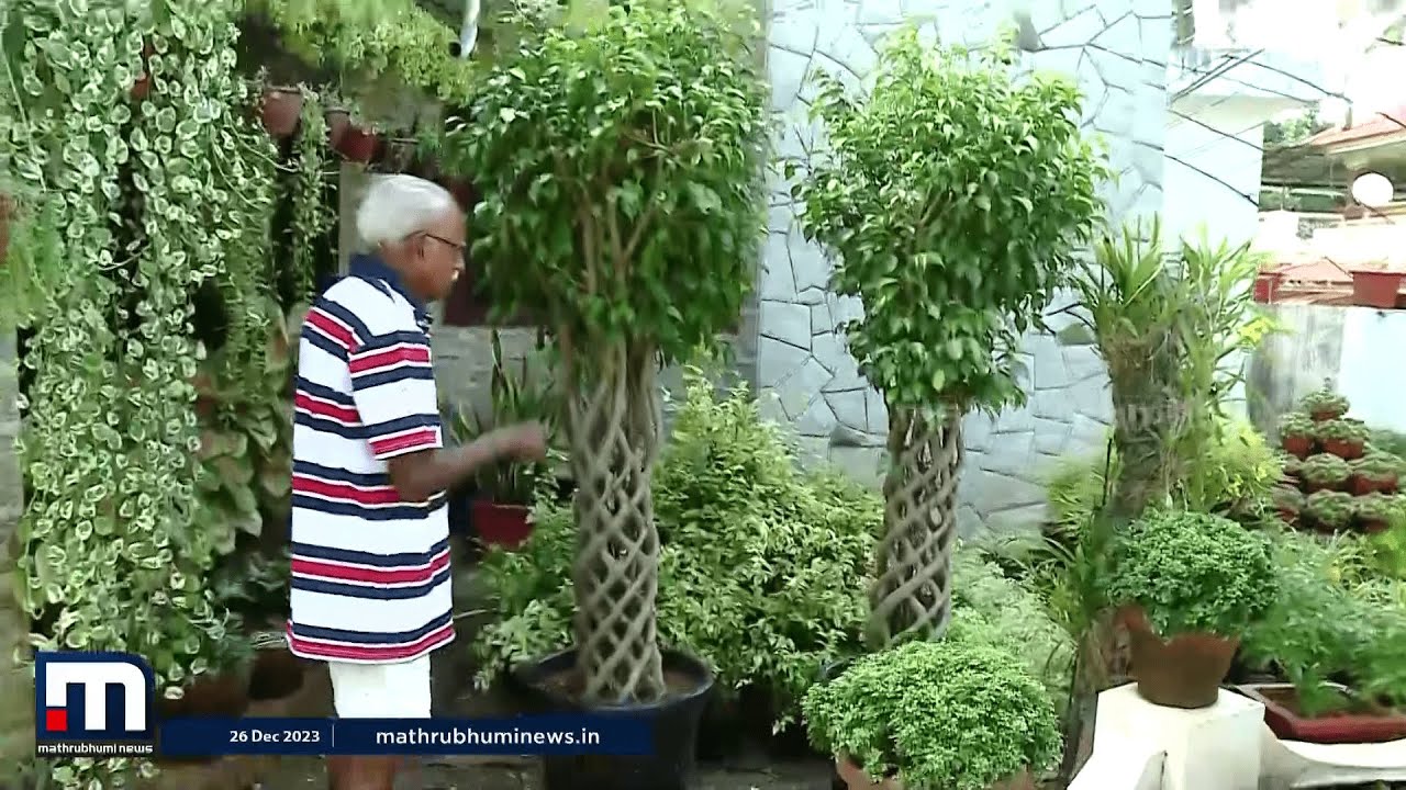 ഒന്നര ലക്ഷം രൂപ വരെ വിലയുള്ള ചെടികൾ; ഇത് രാമകൃഷ്ണന്റെ ഏദൻതോട്ടം | Home Garden | Thrissur