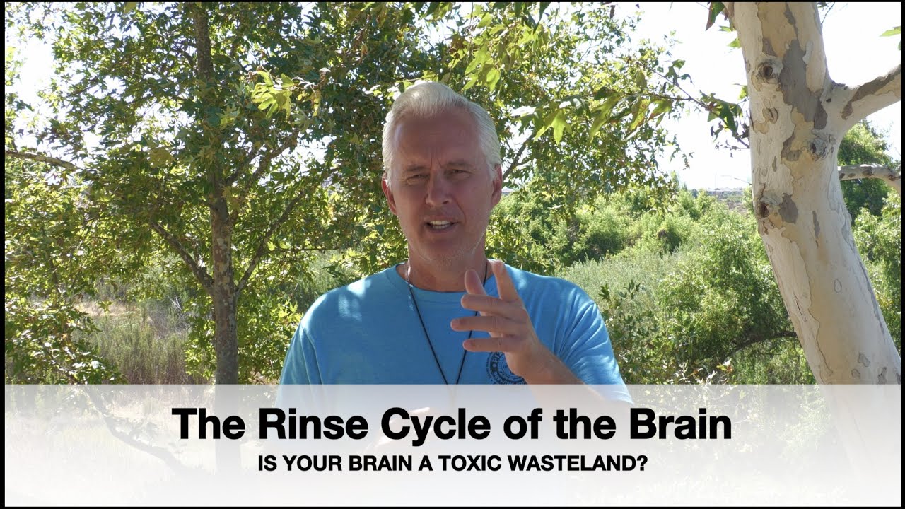 The Rinse Cycle of the Brain: Is Your Brain a Toxic Wasteland?