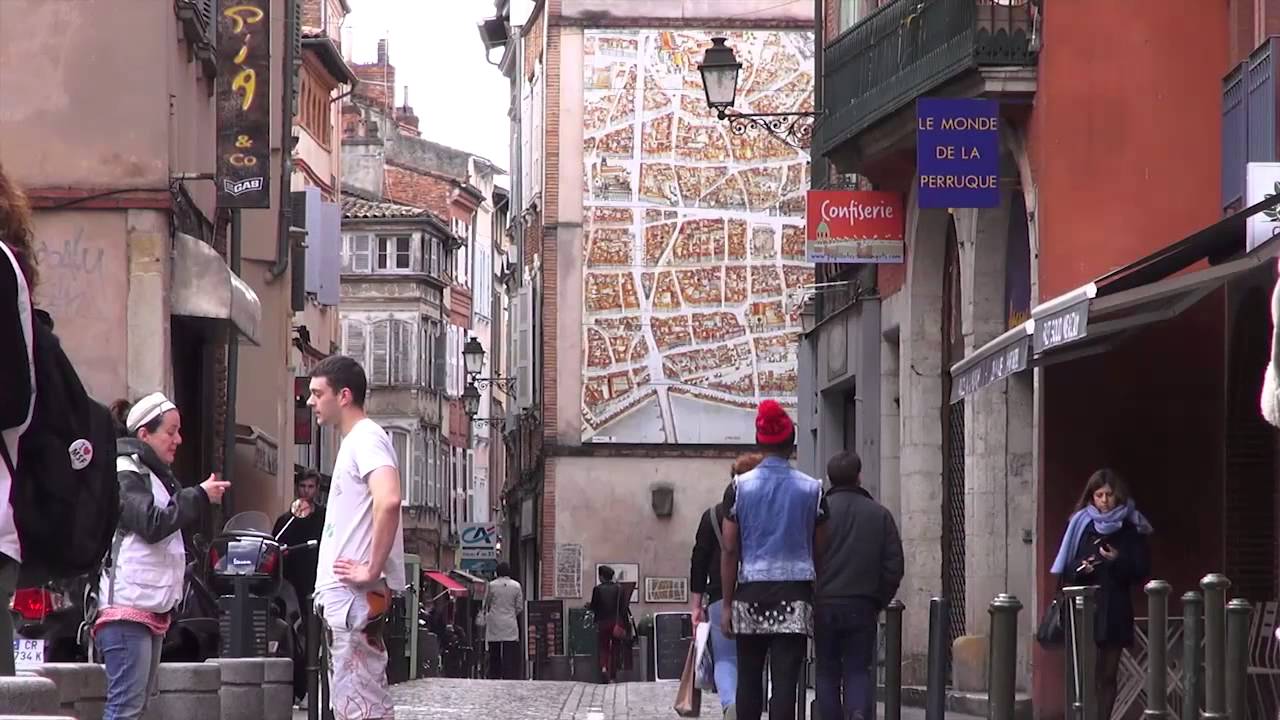 TOULOUSE UN REGARD SUR LES IZARDS