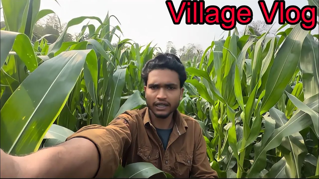 Tour Full Village And House ❤️|riyaz mini blog |riyaz blog