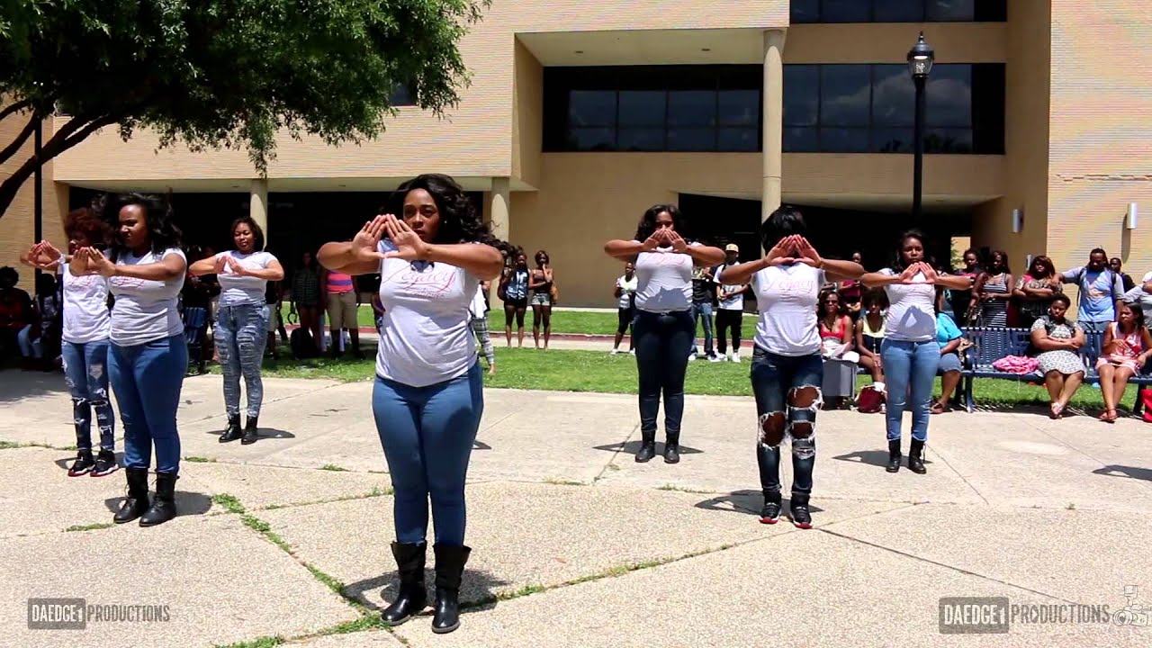 Alpha Tau Chapter of Delta Sigma Theta Yard Show Spring 2014