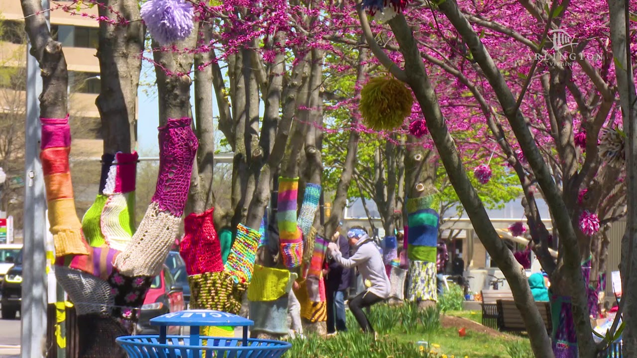 Clarendon Metro Plaza Yarn Bomb