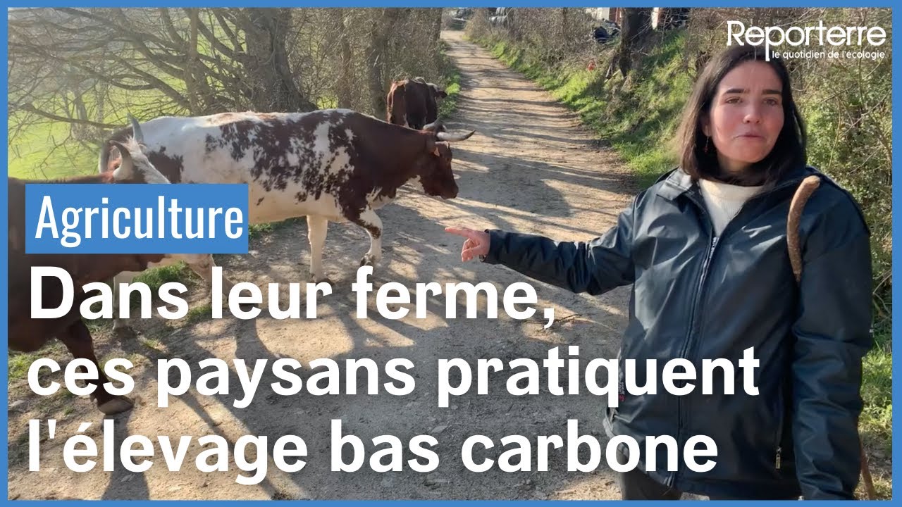 Dans leur ferme, ces paysans pratiquent l'élevage bas carbone
