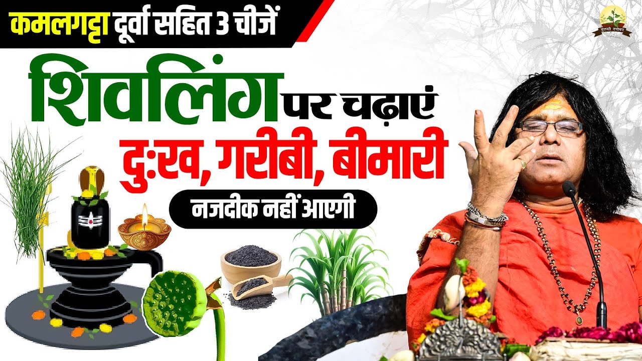 कमलगट्टा, दूर्वा सहित 3 चीजें शिवलिंग पर चढ़ाएं, दुःख, गरीबी, बीमारी नजदीक नहीं आएगी