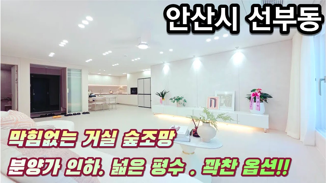 안산신축빌라 막힘없는 거실 숲조망. 분양가 인하! 넓은 평수! 꽉찬 옵션!!