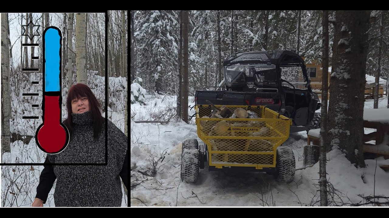 Wildlife, Nature & the Woods in Winter: A Story in the Land of Ice and Snow