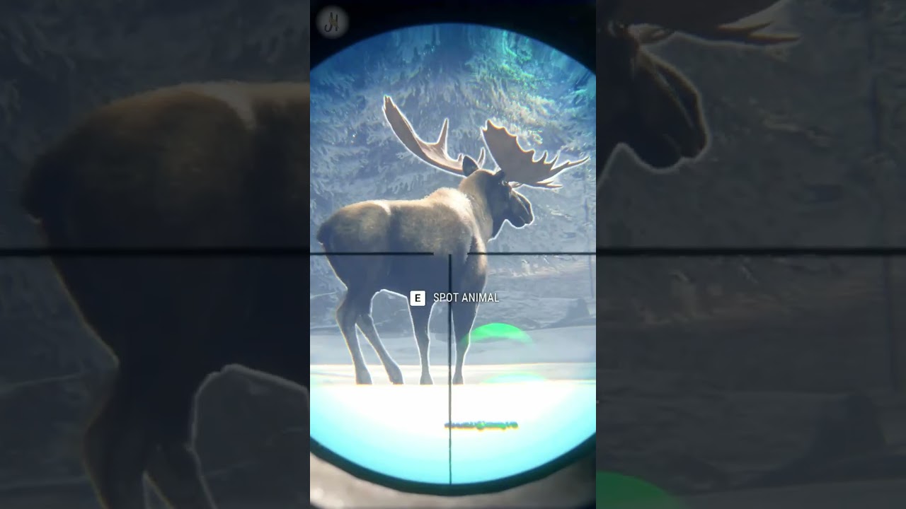 ❗FOOLISH Plan 🥴🥴 Dangerous Moose Hunting Medved Taiga the Hunter Call of the Wild #shorts #hunting